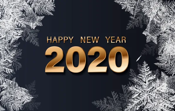 Photo, Snowflakes, New year, The inscription, 2020