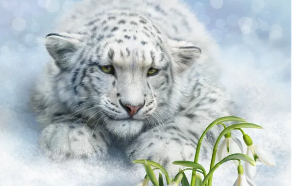 Snow, flowers, mood, art, snowdrops, Snow leopard, wild cat, IRBIS