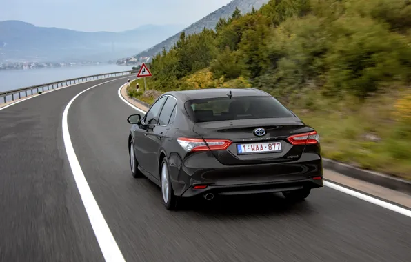 Road, sign, back, Toyota, sedan, Hybrid, Camry, 2019