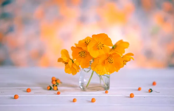 Light, flowers, berries, table, bright, bouquet, still life, orange background