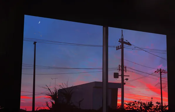 The sky, sunset, the moon, twilight, the view from the window, power lines