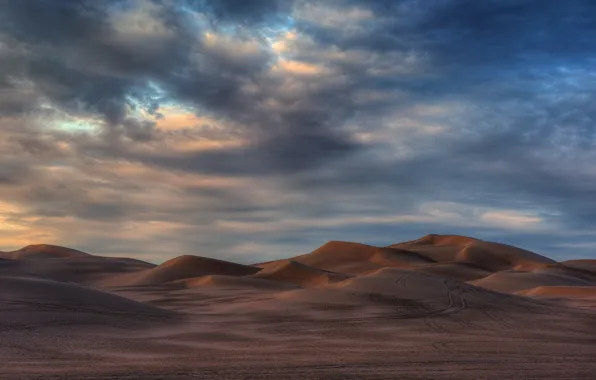 Picture desert, AZ, sand dunes, Algodones