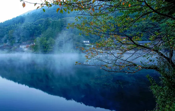 Picture forest, fog, river, home, Nature