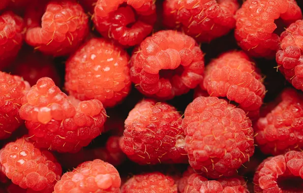 Picture drops, macro, berries, raspberry, placer, a lot
