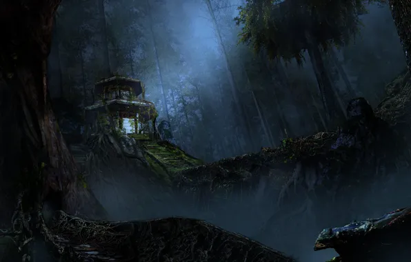 Night, Trees, Forest, House, House, Art, Art, Night