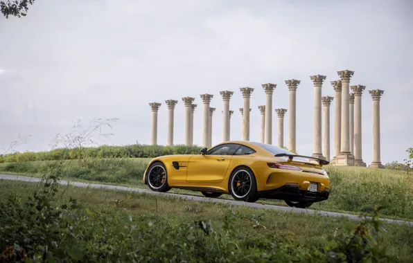Mercedes-Benz, rear view, AMG, GT R, 2020