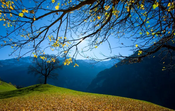 Picture autumn, the sky, grass, leaves, trees, mountains