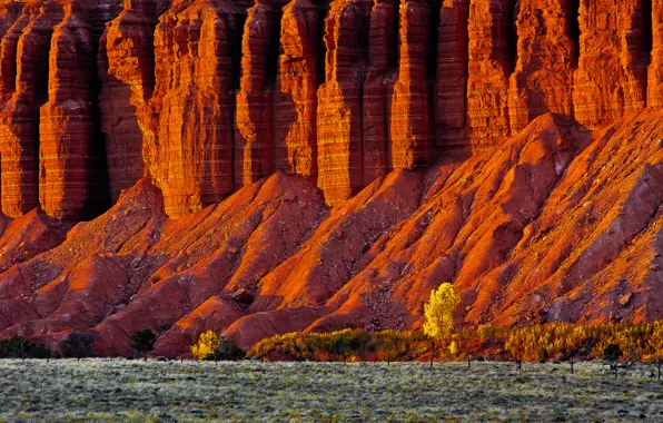 Picture autumn, trees, rocks, valley, Utah, USA, Goro, Torrey