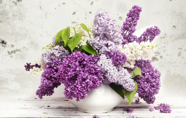 Picture leaves, vase, lilac