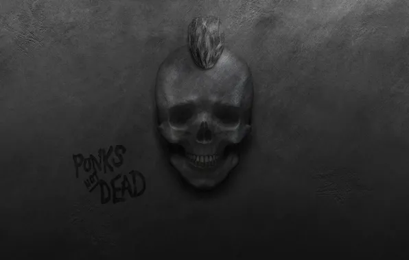 Wall, skull, punks, Mohawk, punk rock, punks not dead, punks alive