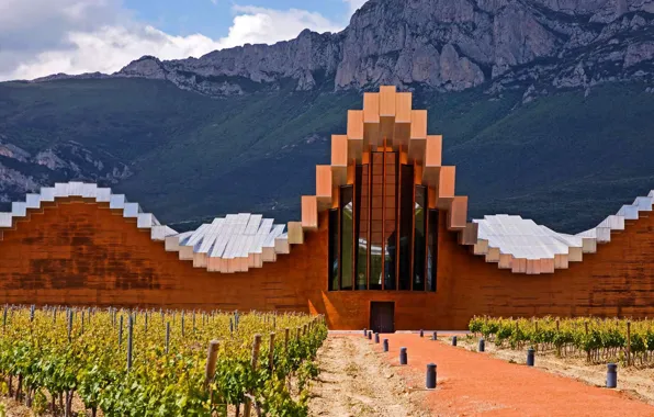 Picture mountains, architecture, Spain, winery, Rioja