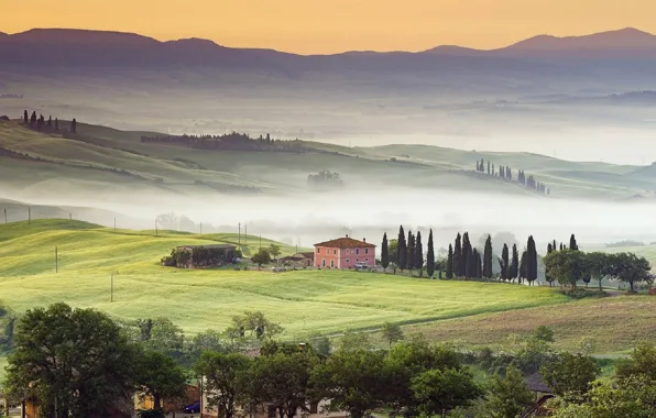 Fog, Italy, house, Italy, hills, cypress, mist, Tuscany