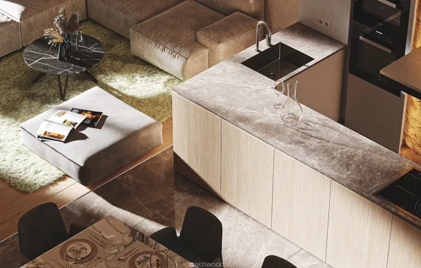 Minimalism, kitchen, marble, living room, the dried flowers, redwoodos