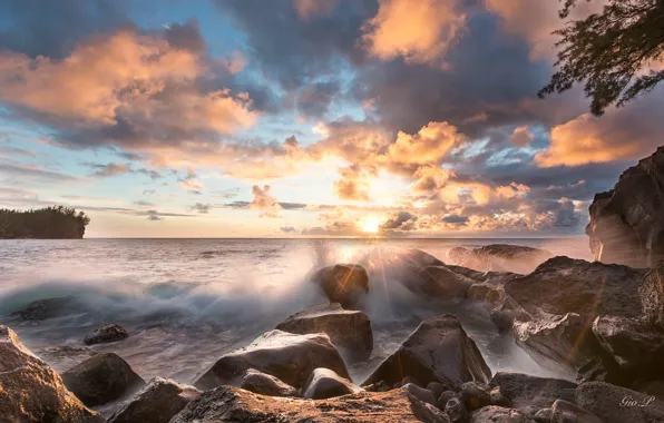 Picture sea, wave, the sun, rays, light, stones