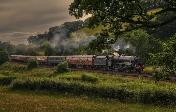 Train, the engine, composition