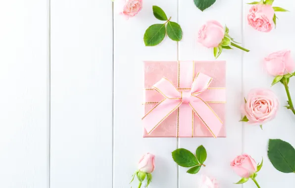 White, background, gift, pink, buds, wood, roses