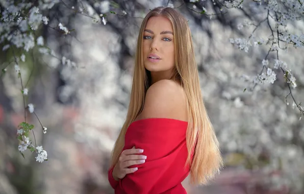 Picture look, girl, branches, pose, portrait, spring, blonde, flowering