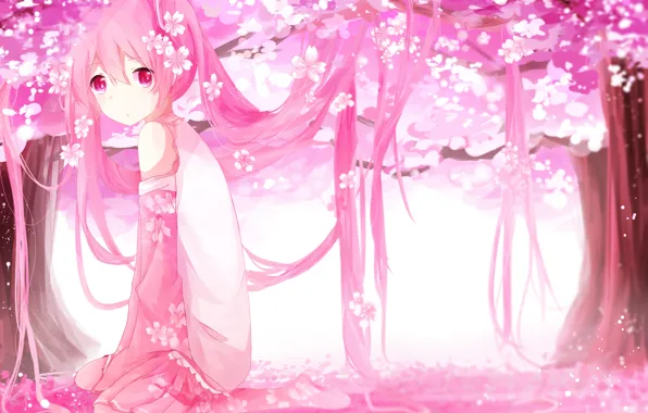 Girl, trees, flowers, anime, petals, Sakura, art, vocaloid