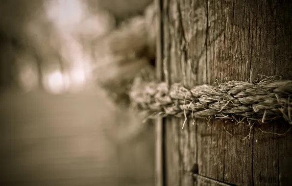 Macro, tree, photos, ropes, wood, rope, rope, Wallpaper for desktop