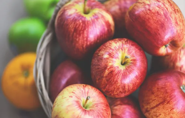 Red, apples, food, harvest, fruit, basket, a lot, juicy