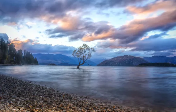 Clouds, mountains, lake, tree, New Zealand, New Zealand, Lake Wanaka, Southern Alps
