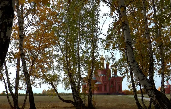 Autumn, background, Forest, temple, birch, OMSK, Siberia