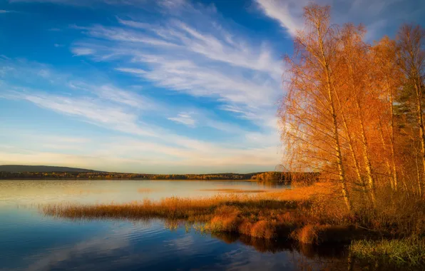 Clouds, trees, landscape, nature, lake, pond, reflection, river