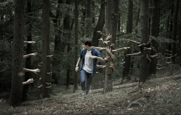 Forest, hands, guy
