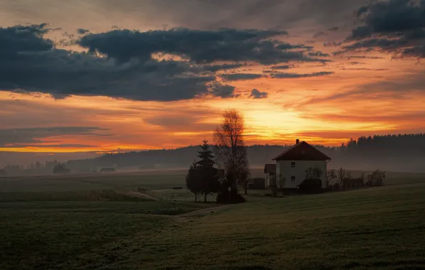 Field, forest, clouds, trees, sunset, clouds, fog, house