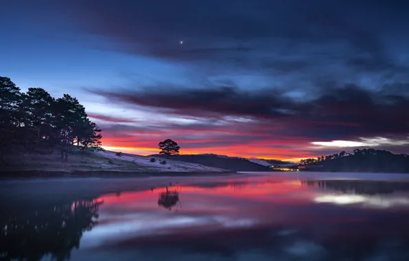 The sky, trees, sunset, river, the evening