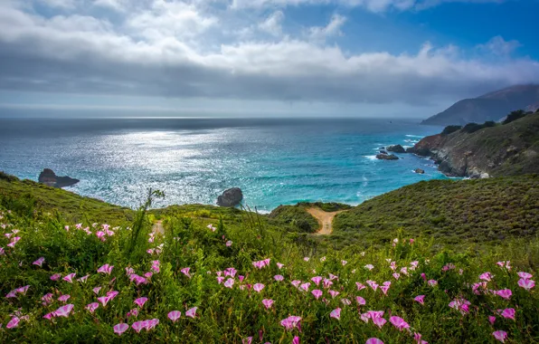 The sky, flowers, coast, CA, USA, The Pacific ocean, Big Sur