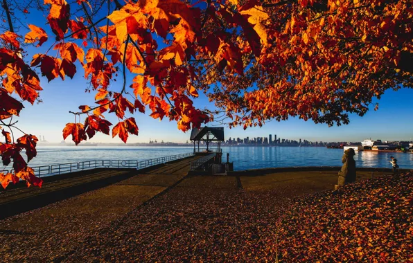 Picture autumn, Canada, Vancouver, Canada, Vancouver