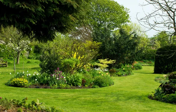 Picture greens, grass, trees, flowers, bench, garden, UK, the bushes