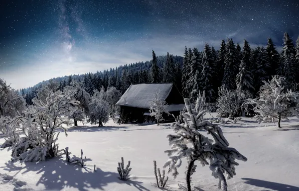 Winter, snow, trees, landscape, tree, hut, forest, trees