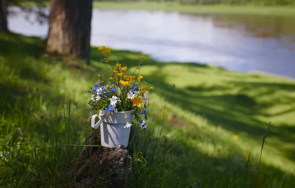 Picture summer, grass, flowers, river, stump, bouquet, mug, field