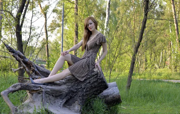 Picture FOREST, LOOK, NATURE, BROWN hair, STUMP, SUNDRESS