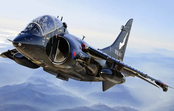 BAe Harrier 