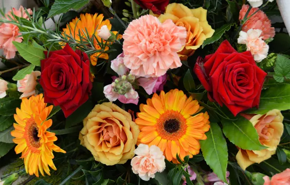 Picture roses, bouquet, gerbera, clove