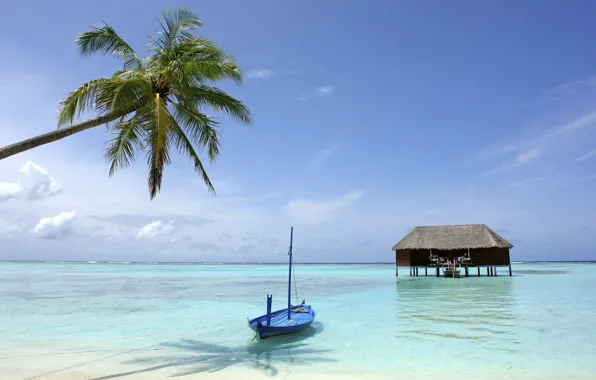 Palm trees, the ocean, boat, Bungalow