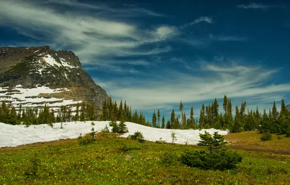 The sky, clouds, trees, mountain, Montana, Glacier National Park, Rocky mountains, Montana