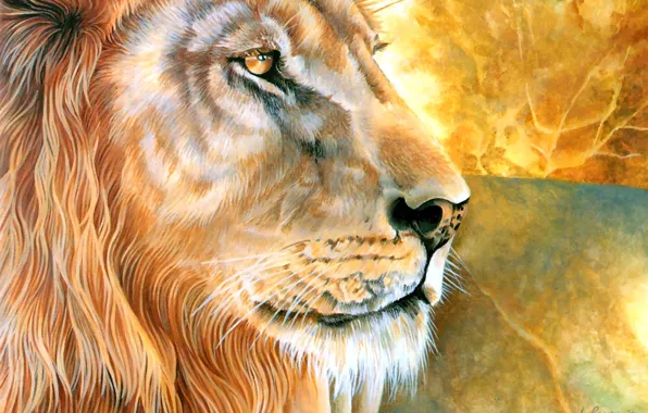 Picture Picture, Leo, Face, Closeup, Canadian artist, Laura Regan, Laura Regan