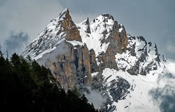 Winter, forest, snow, trees, landscape, mountains, nature, fog