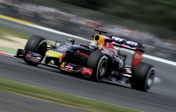 Racer, Formula 1, Vettel, Champion, Sebastian, RB10