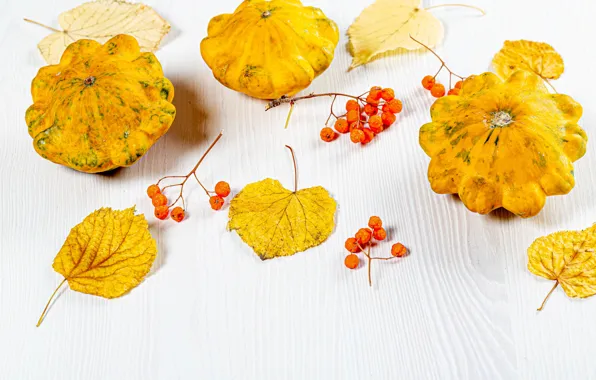 Autumn, leaves, berries, pumpkin