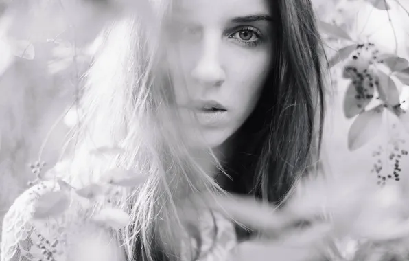 Eyes, look, girl, hair, black and white