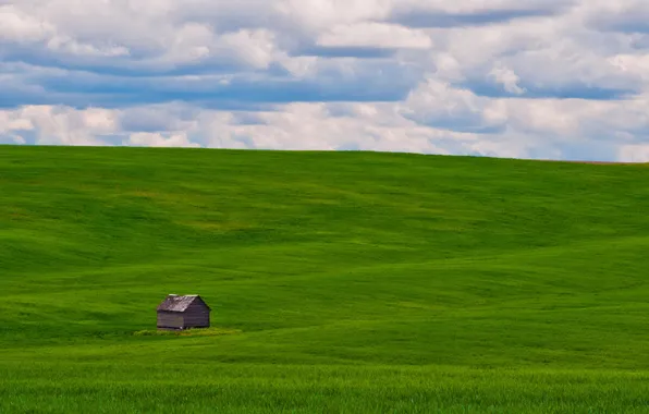 Field, the sky, house
