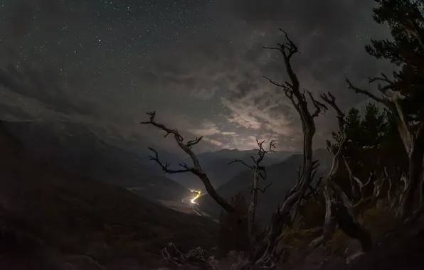 Clouds, mountains, night, old trees, Kudashkina Ksenia, Gloomy Arkhyz