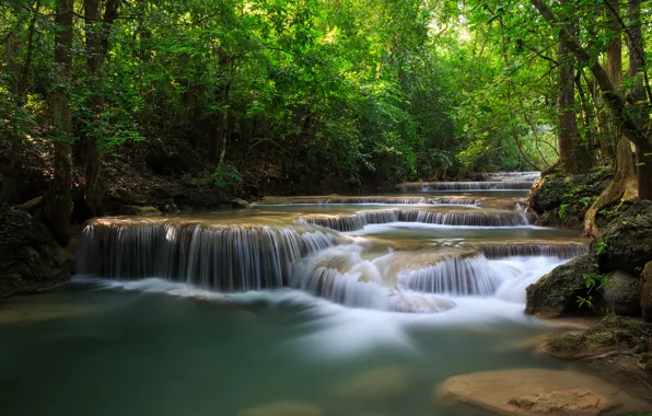 Picture greens, forest, trees, river, waterfalls