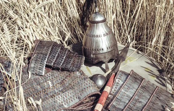 Ears, Helmet, Shield, Shield, Spear, Armor, Spear, Southern Germany