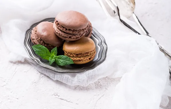 Cookies, cake, cream, dessert, chocolate, macaron, almond, Iryna Melnyk